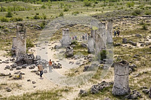 The Stone Forest - Pobiti Kamani and Dikilitash, Bulgaria