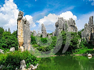 The stone forest scenic spot in kunming of China