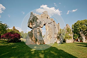 stone forest