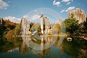 stone forest photo