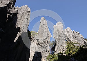 Stone forest shilin yunnan province china photo