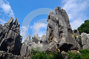 Stone forest and sky