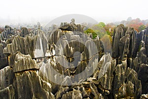 Stone Forest, Yunnan, China