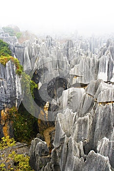 Stone Forest, Yunnan, China