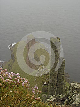 Stone Form at Giants Causeway