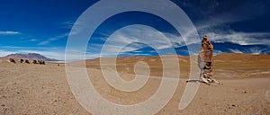 Stone formation of Pacana Monks near Salar De Tara, huge panorama photo