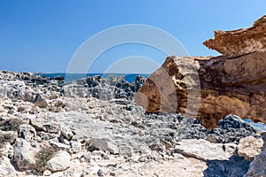 A stone formation resembling a dragon`s head. Ibiza island. Balearic Islands, Spain