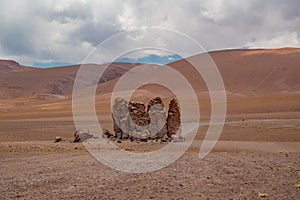 Stone formation in Salar De Tara, Atacama Desert, Chile