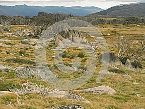 Stone formations in alpine meadow