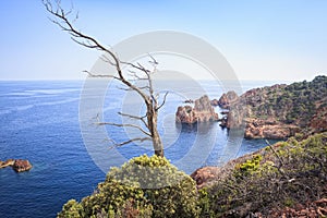 Stone Formations at the peninsula Cap du Dramont near Frejus, France