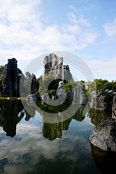 Stone forrest