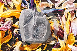 Stone with fossilized plant in the middle of bright colorful wilted tulip petals