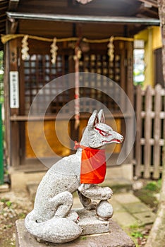 A stone fox in a Shintoist shrine in Tokyo photo