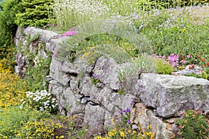 Stone garden