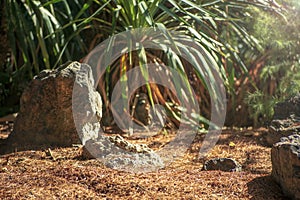 Stone garden for meditation. the concept of tranquility, harmony, culture