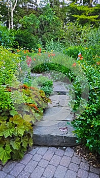 Stone garden path and steps greenery flowers