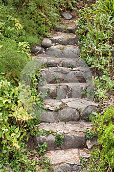 Stone Garden Steps