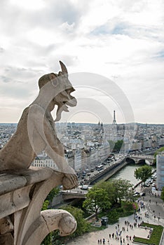 Stone Gargoyle on Notre Dame Cathedral