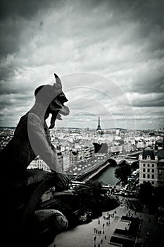 Stone Gargoyles of Notre Dame photo