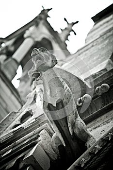 Stone Gargoyles of Notre Dame photo