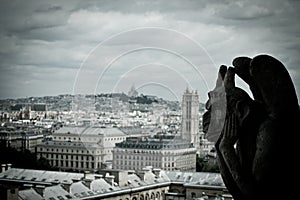 Stone Gargoyles of Notre Dame