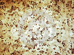 Stone background vintage