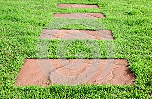 Stone on grass, walk way