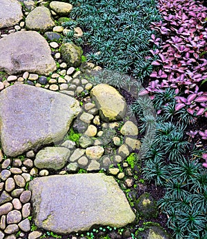 Stone Gravel Foot Path on Zen Garden with Mondo Grass and Ornamental Flame Violet Plant. photo