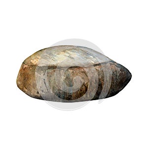 Stone grey smooth from sea bottom. Watercolor drawing of underwater ocean brown rock on white background.