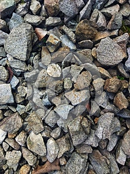stone on the ground is gray