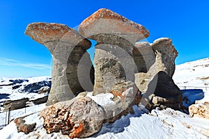 Stone group in Carpathian Mountains