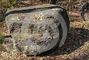 Stone with growing moss in the forest