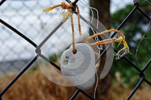 A stone that has been worn by the tide is tied to a fence through a natural hole.