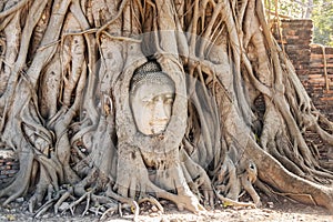 A stone head of Buddha in Wat Prha Mahathat Temple