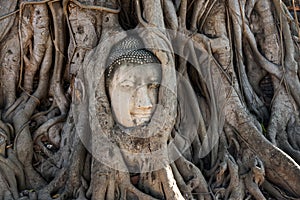 A stone head of Buddha in Wat Prha Mahathat Temple