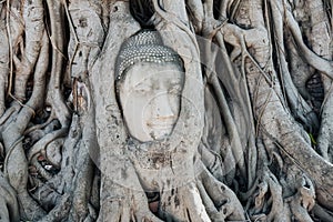 A stone head of Buddha in Wat Prha Mahathat Temple