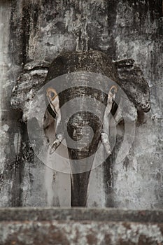 Stone head of an elephant