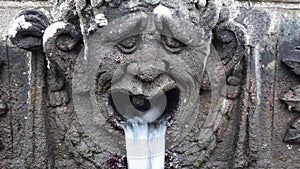 Stone Head Fountain Detail Of Mensa Del Cardinale Villa Lante Italy