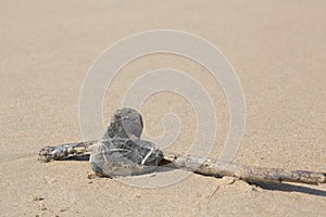 Stone heart and driftwood