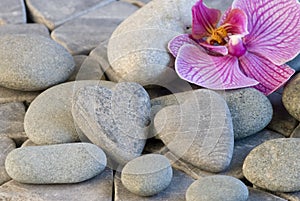 Stone heart and orchid