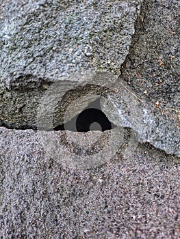 Stone with hole in thw middle