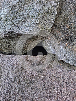 Stone with hole in thw middle photo