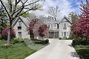 Stone home with flowering trees