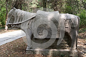 Stone Horse