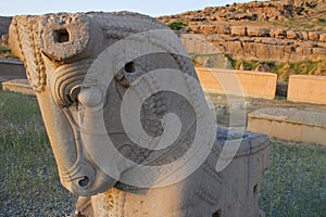 Stone horse figure in the ancient capital of Persia , the city of Persepolis