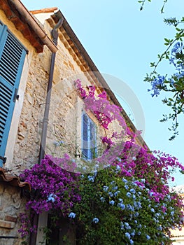 A stone house in Antibes. Windows with light blue blinds. Wall covered in flowers