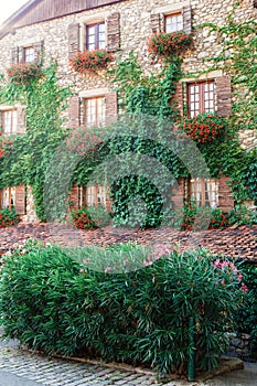 Stone house with red flowers and green ivy in Yvoire.