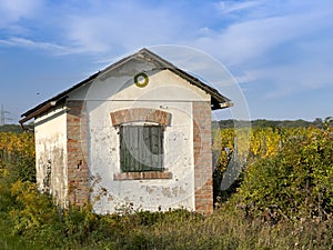 Stone hut with wooden window beside a vineyard on a sunny autumn day in Vienna, Austria