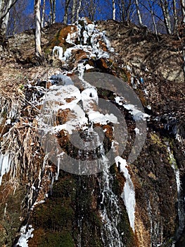 stone ice tree natural winter