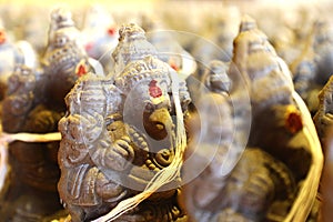 Stone idol of Lord Ganesha photo